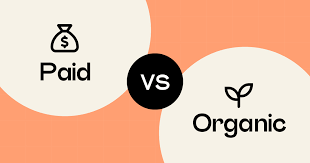 Paid vs Organic Leads